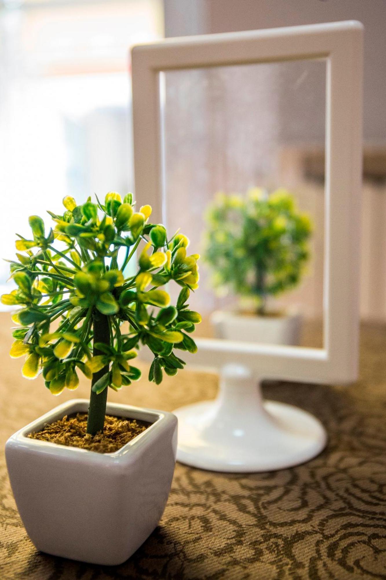 Hotel Nuovo Fiore 2*